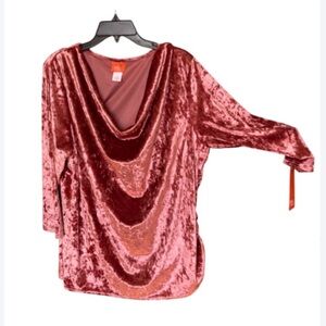 3/$45 Hearts of Palm duller pink velvet like top with stretch 2X
